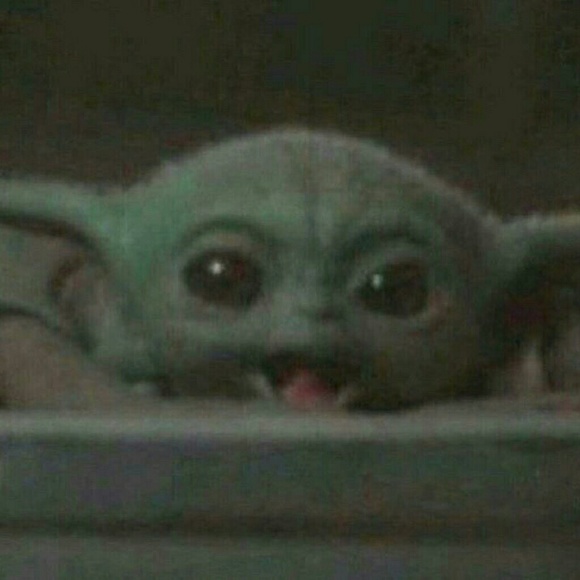 Meet your Posher, Steven - Picture 1 of 1